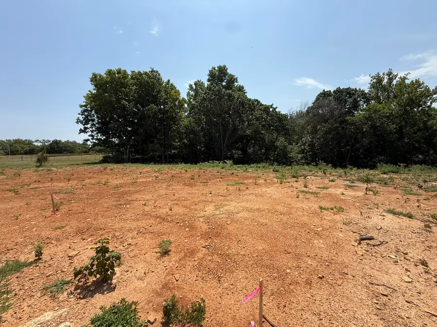 Lot 10 Little Street, Seligman, MO 65745 - #3