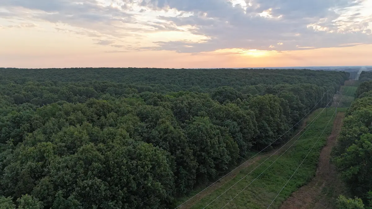 000 County Rd 2100, Mount Vernon, MO 65712 - #1