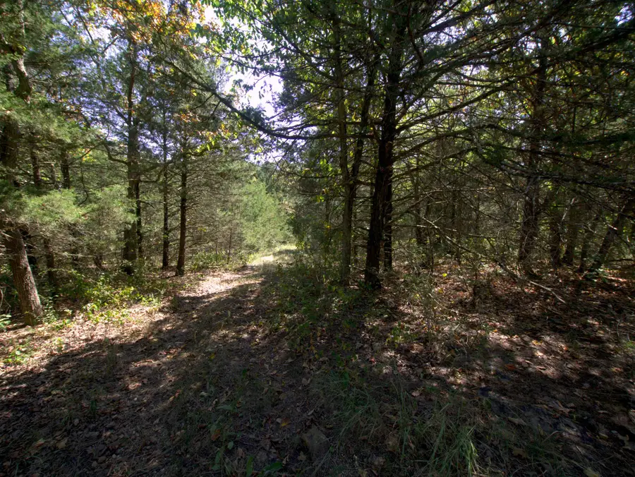 Tract 1 Simpson Road, Urbana, MO 65767 - #2