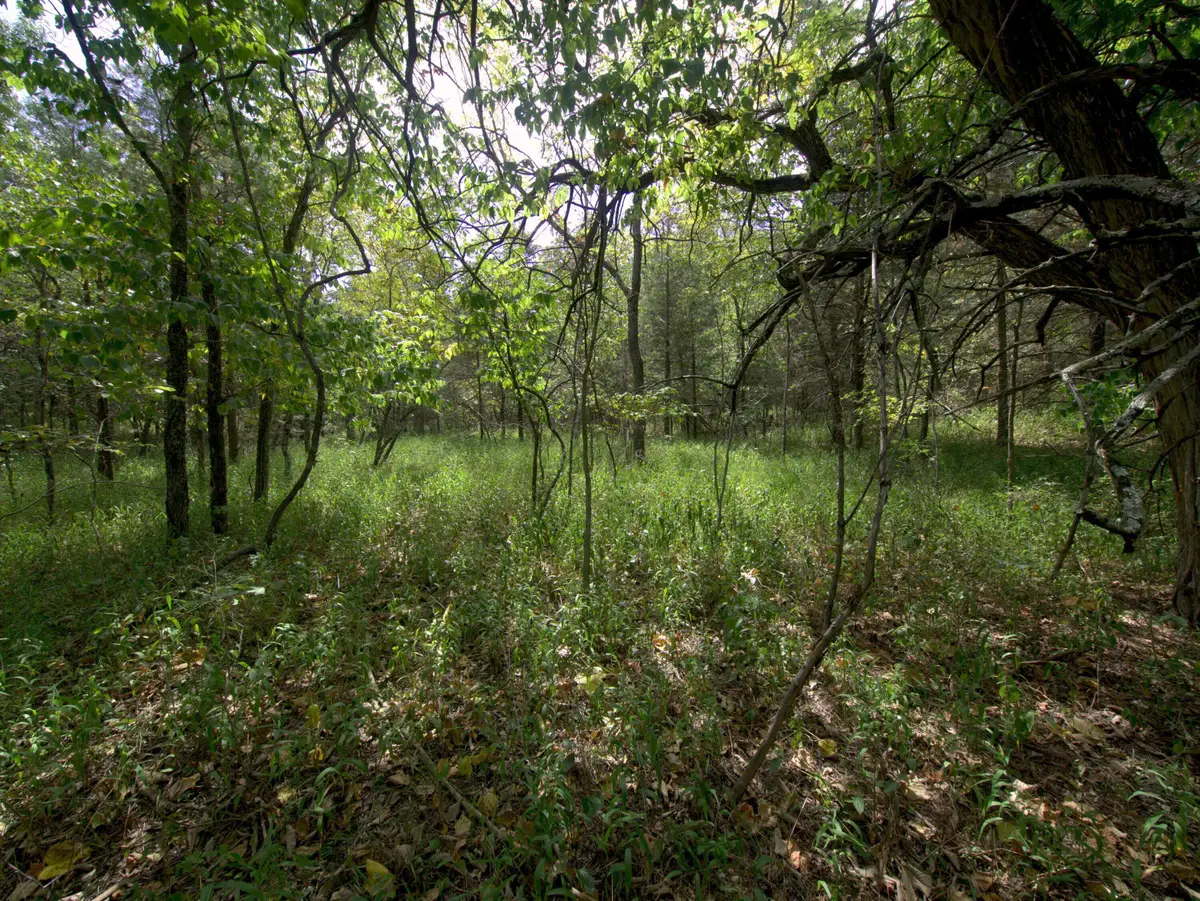 Tract 4 Simpson Rd, Urbana, MO 65767 - #1
