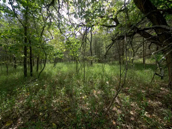 Tract 4 Simpson Rd, Urbana, MO 65767