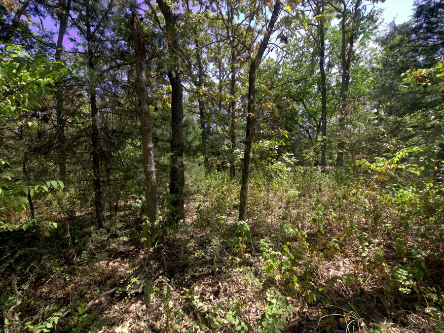 Tract 4 Simpson Rd, Urbana, MO 65767 - #3