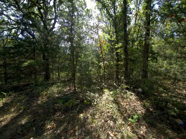 Tract 1&2 Simpson Rd, Urbana, MO 65767