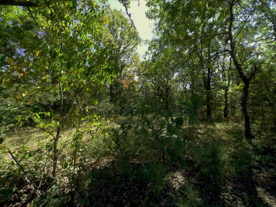 Tract 1&2 Simpson Rd, Urbana, MO 65767 - #3