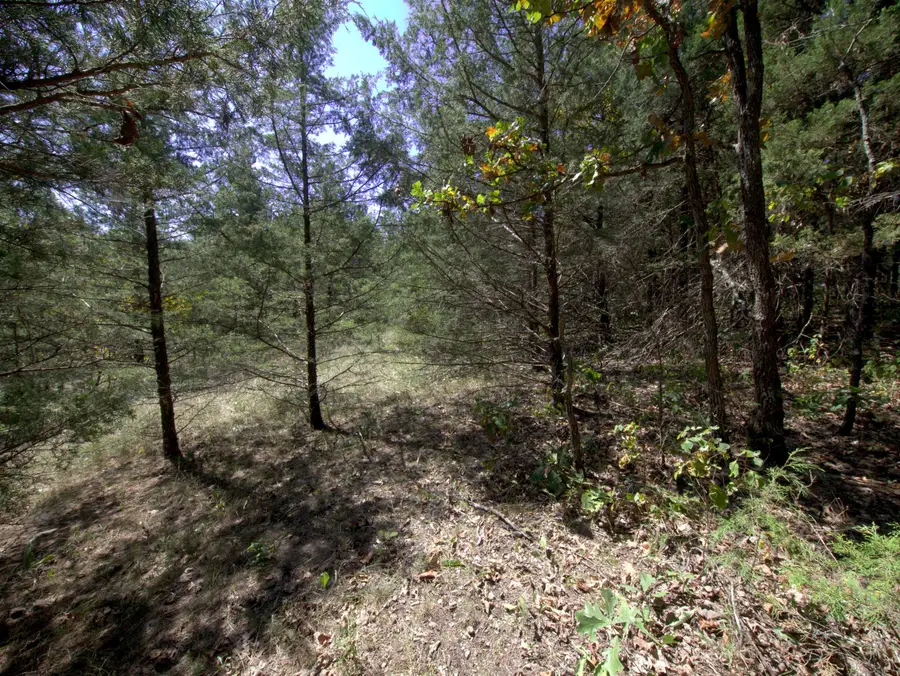 Tract 2&3 Simpson Rd, Urbana, MO 65767 - #2