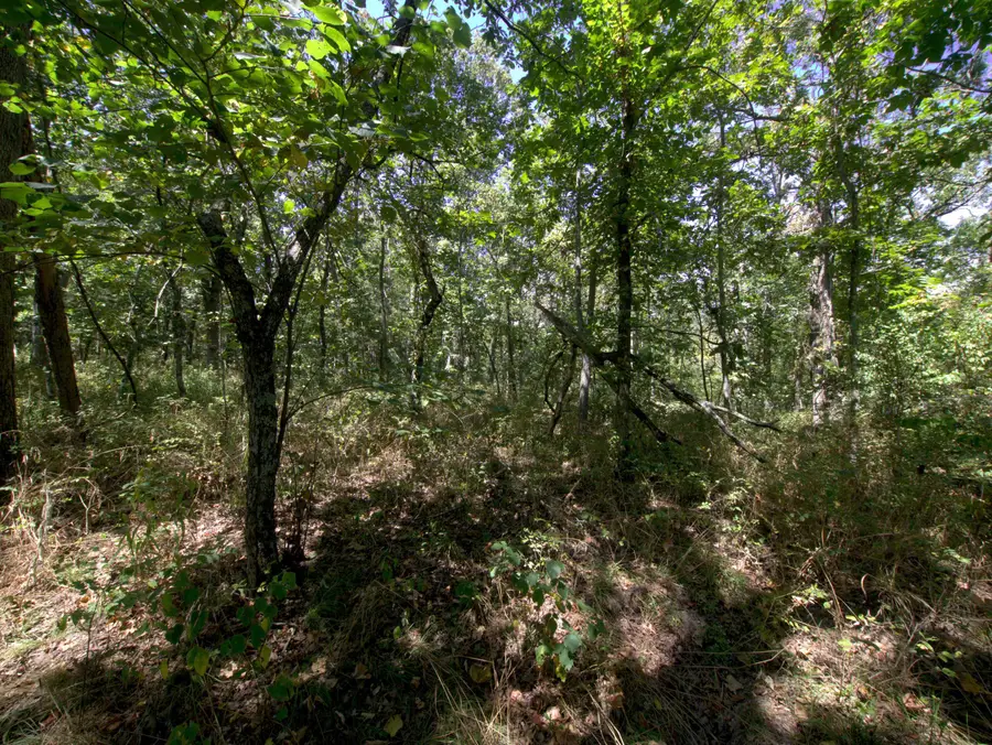 Tract 1-3 Simpson Rd, Urbana, MO 65767 - #2