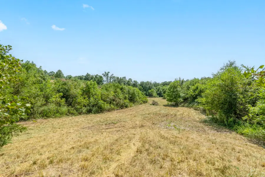 Tbd Swinson Drive, Galena, MO 65656 - #2