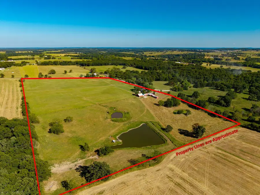 10763 E Red Springs Rd Road W, Mountain Grove, MO 65711 - #3