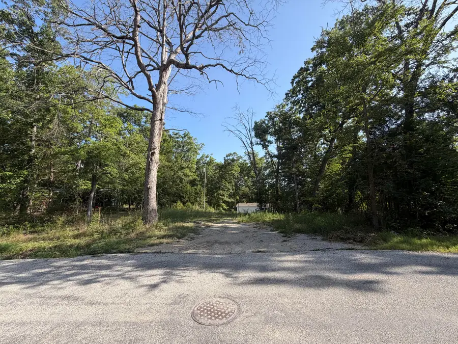 194 Missouri Bend, Rockaway Beach, MO 65740 - #3