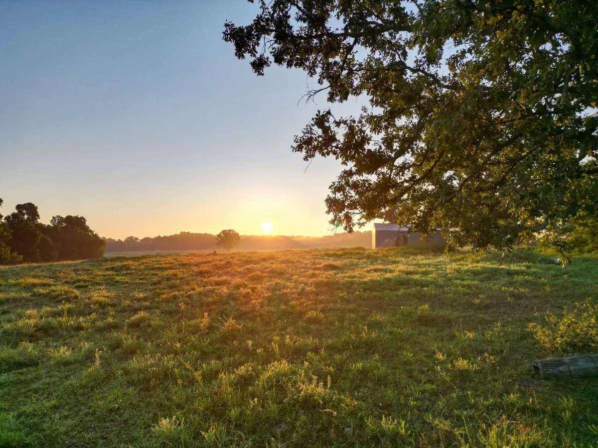000 Grimes Mill Drive, Mountain Grove, MO 65711 - #1