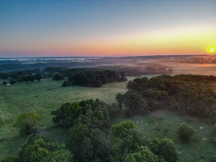 000 Grimes Mill Drive, Mountain Grove, MO 65711 - #2
