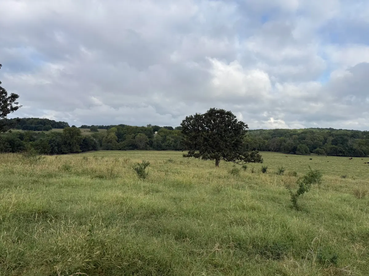 Tract 2 S Farm Road 55, Republic, MO 65738 - #1