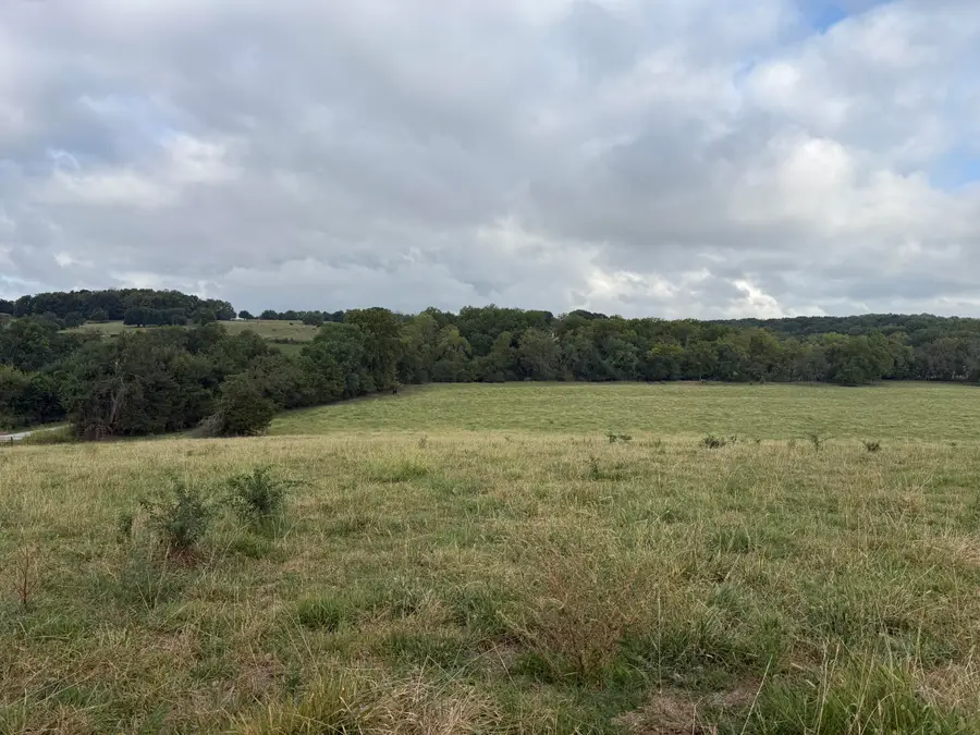 Tract 5 S Farm Road 55, Republic, MO 65738 - #2