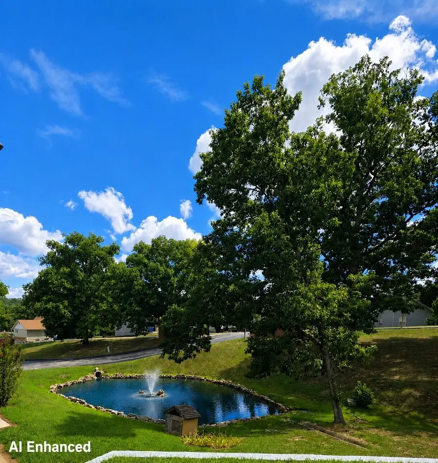 130 Wilshire Drive #36, Hollister, MO 65672 - #2
