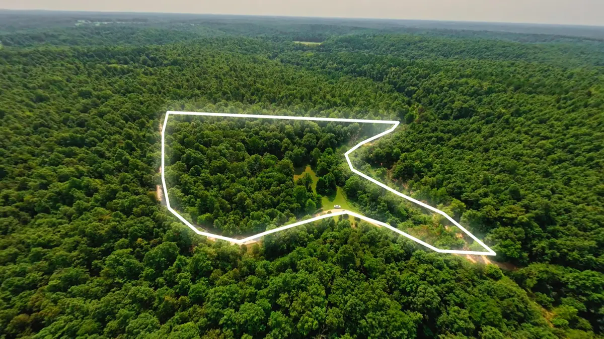 000 County Road 2661, Mountain View, MO 65548 - #1