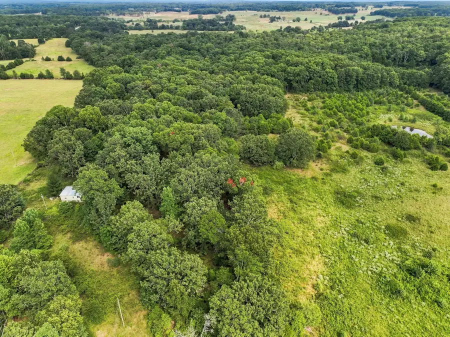 6182 County Road 2350, Pomona, MO 65789 - #2