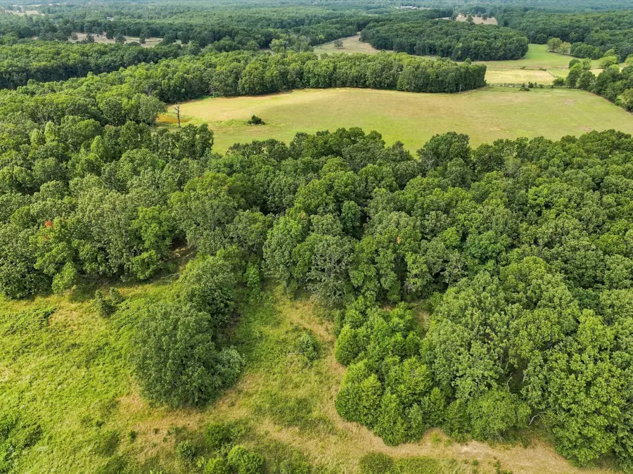 6182 County Road 2350, Pomona, MO 65789 - #3