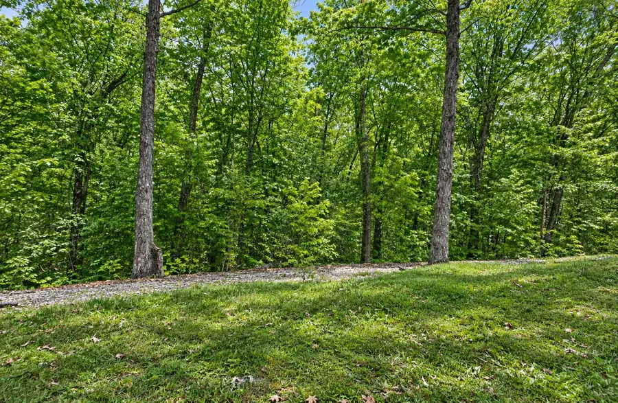 28 Bright Drive, Branson West, MO 65737 - #2