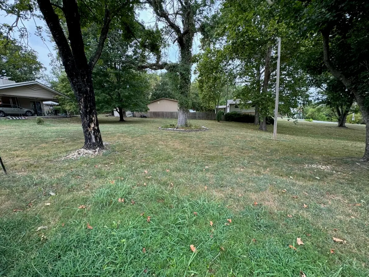 2  (Lot 2) Ash Lane, Eagle Rock, MO 65641 - #1