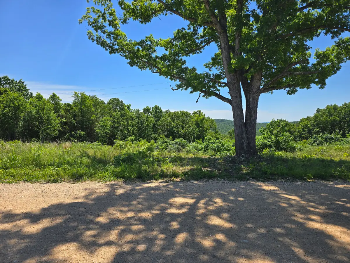16850 Old Cricket Road W, Omaha, AR 72662 - #1