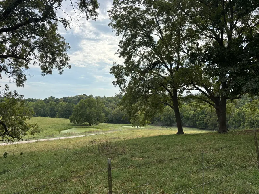 O E 540th Road, Morrisville, MO 65710 - #2