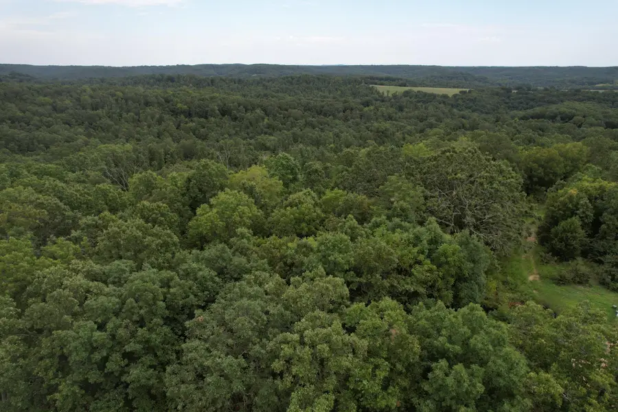 000 County Road 76-126, Ava, MO 65608 - #2