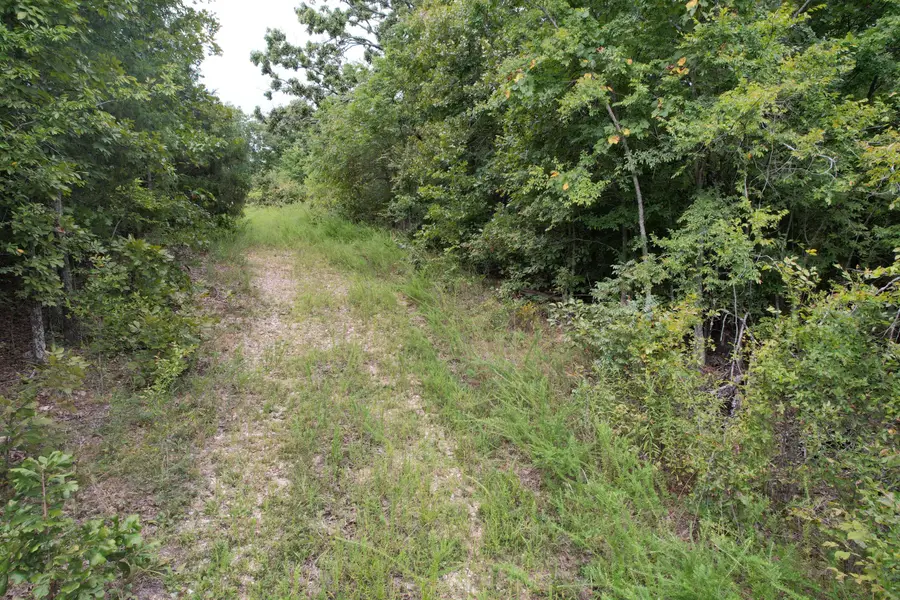 000 County Road 76-126, Ava, MO 65608 - #3