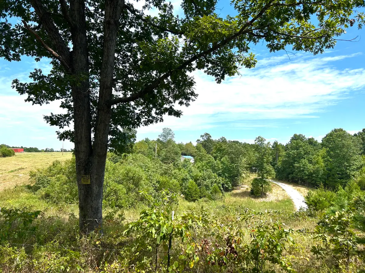 10720 Sackett Road, Licking, MO 65542 - #1