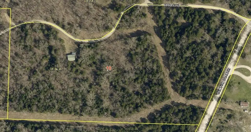 000 Tobasco, Long Lane, MO 65590 - #1
