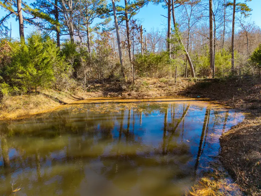 Lots 1&2 Malberg Road, Cabool, MO 65689 - #3