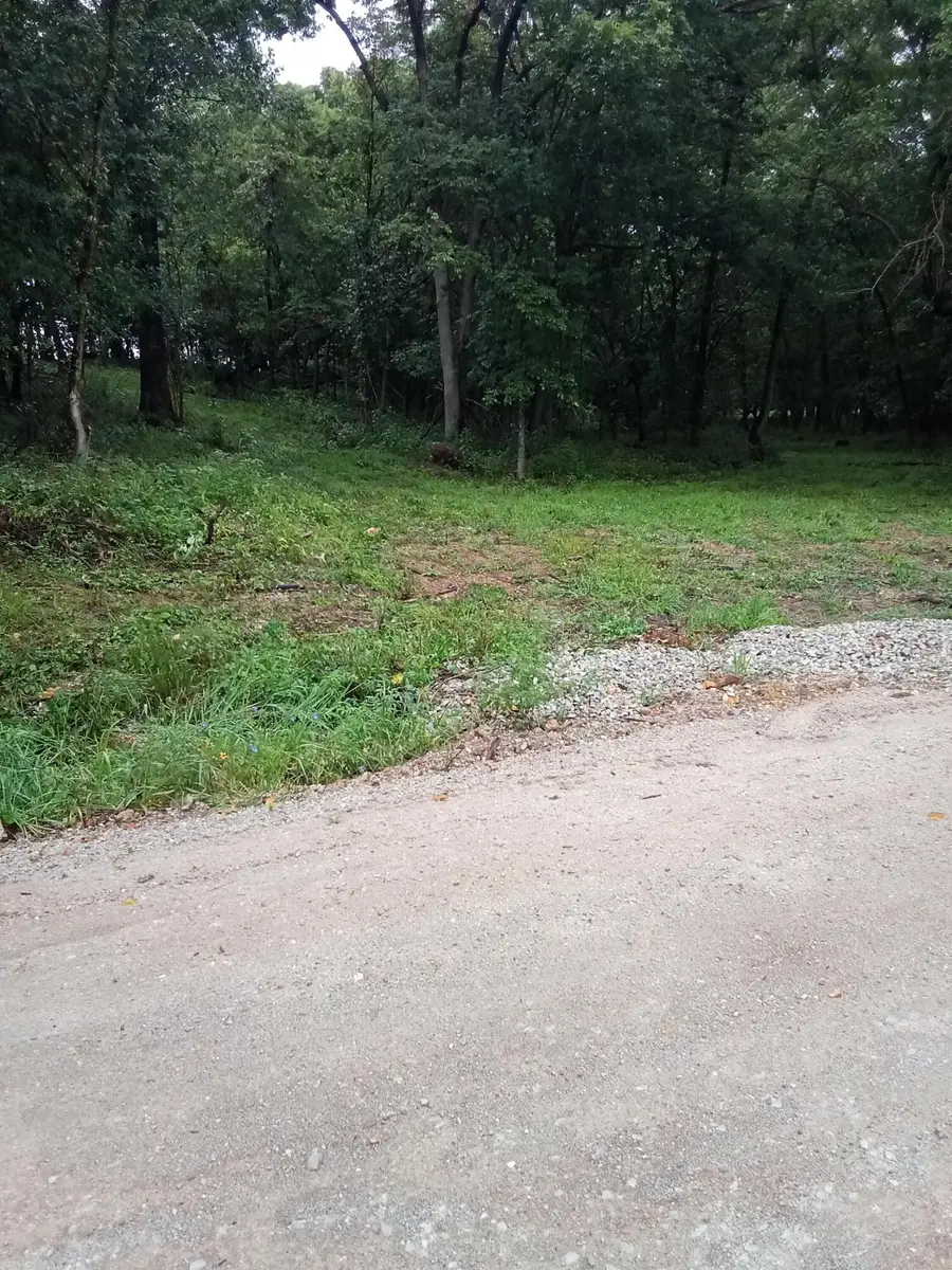 000 Fraker Road, Buffalo, MO 65622 - #2