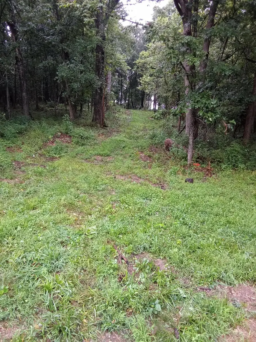 000 Fraker Road, Buffalo, MO 65622 - #3