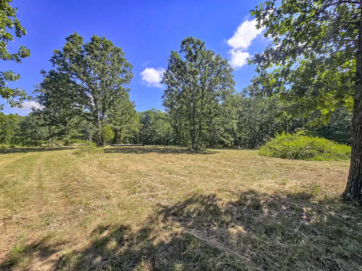 000 Highway 181, Cabool, MO 65689 - #1