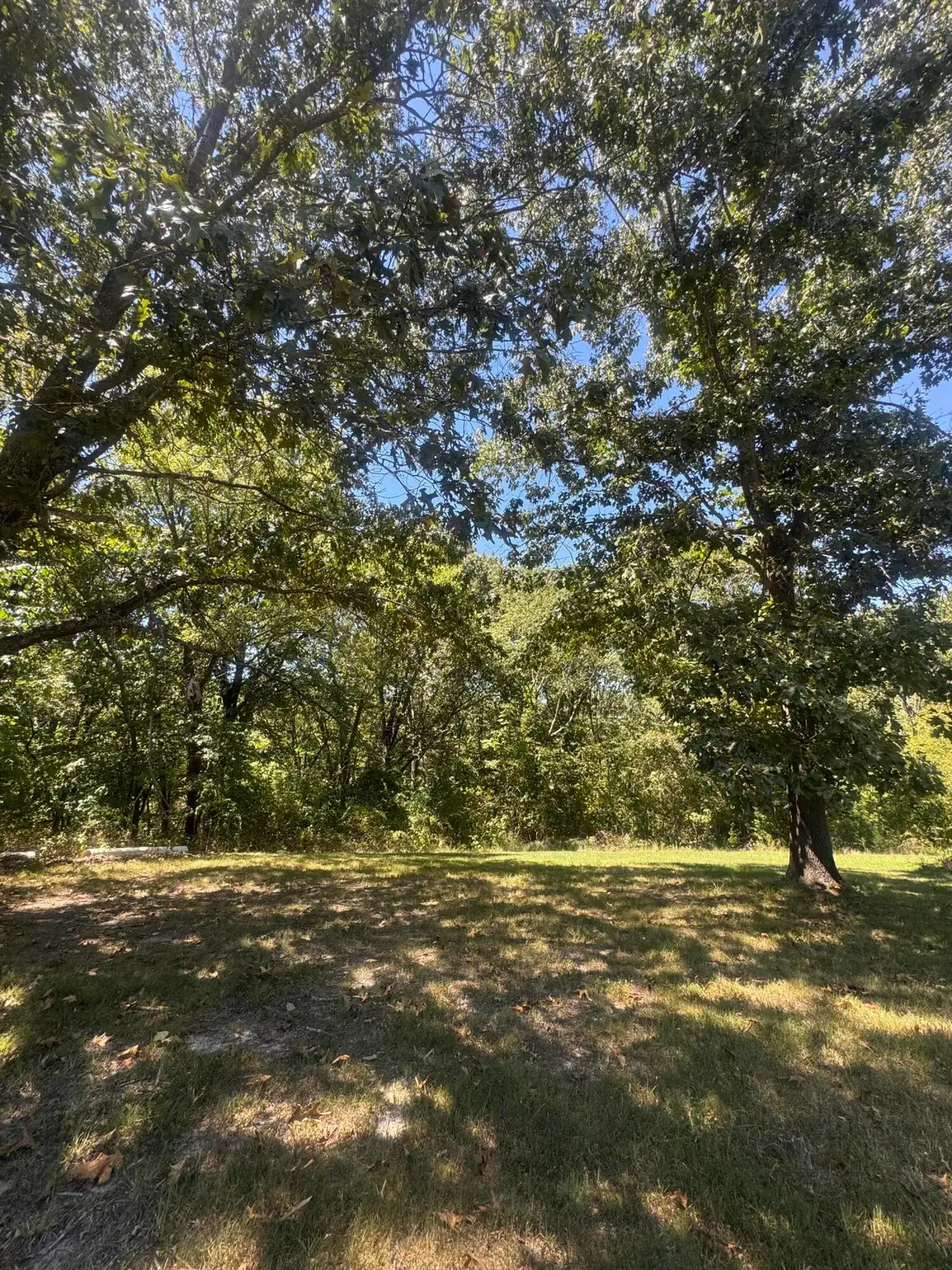 000 Rt 248, Galena, MO 65656 - #1