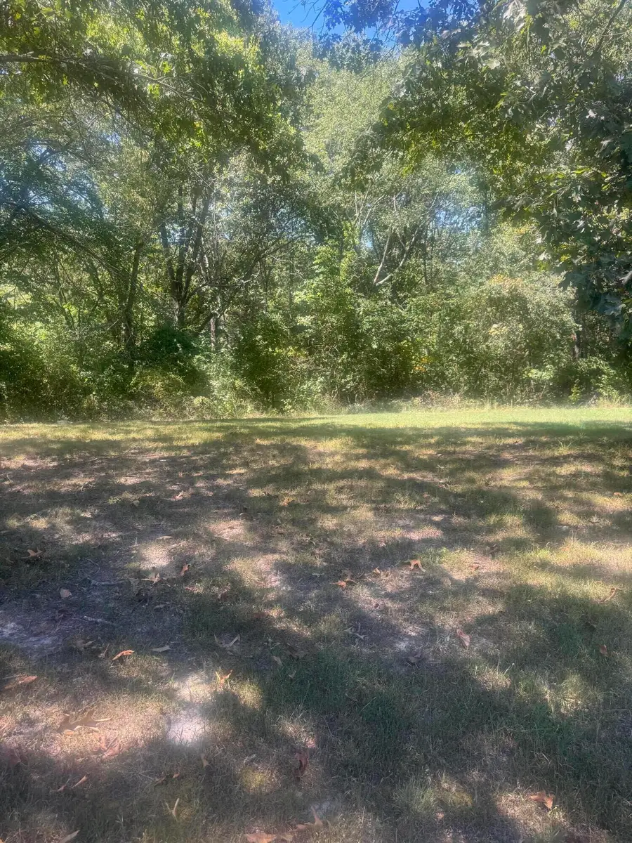 000 Rt 248, Galena, MO 65656 - #3