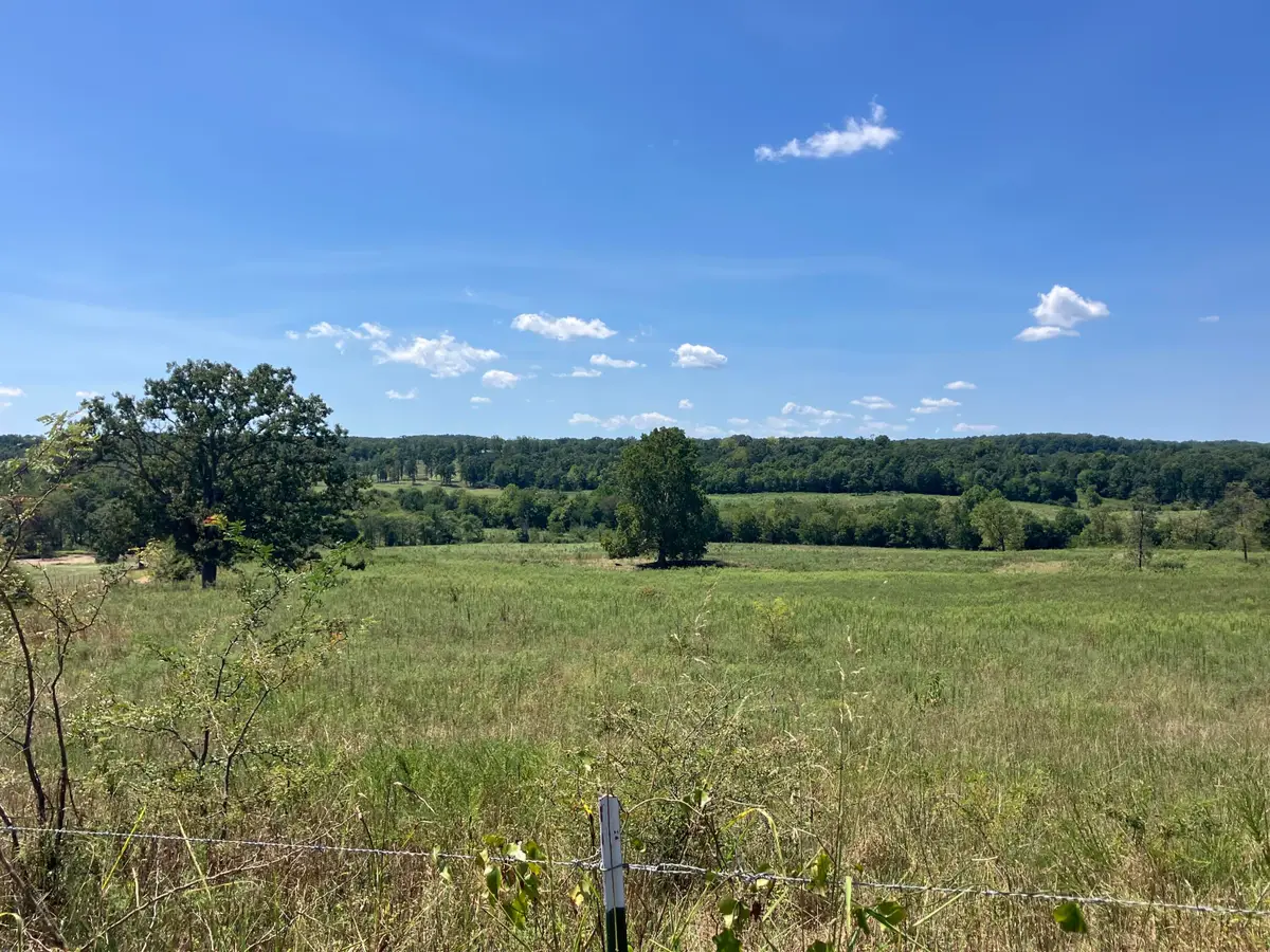 000 County Road 7040, Pottersville, MO 65790 - #1