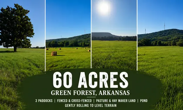 Tbd County Road 906, Green Forest, AR 72638