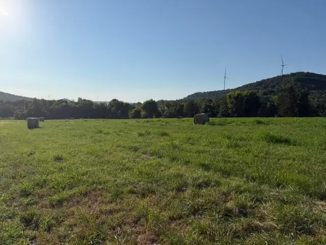 Tbd County Road 906, Green Forest, AR 72638 - #2