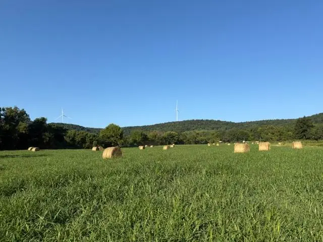 Tbd County Road 906, Green Forest, AR 72638 - #3