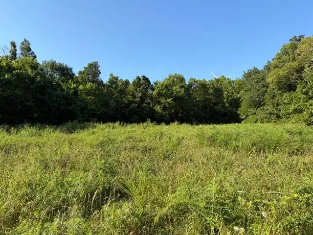 Tbd County Road 9068, Green Forest, AR 72638 - #2