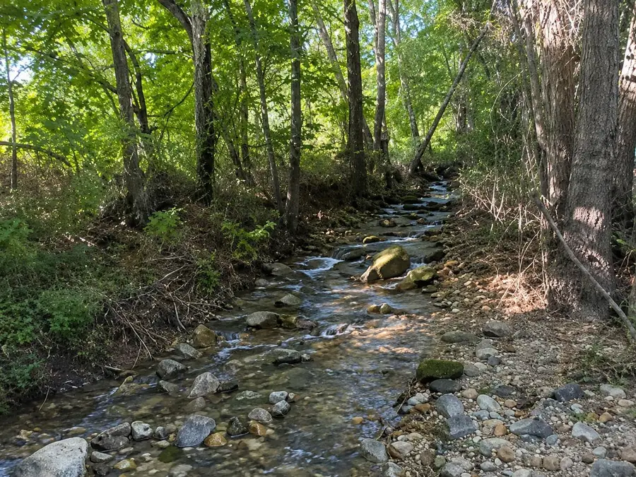 Tbd County Road 9068, Green Forest, AR 72638 - #3