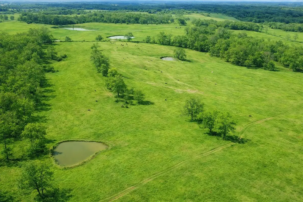 000 P Highway, Koshkonong, MO 65692 - #1