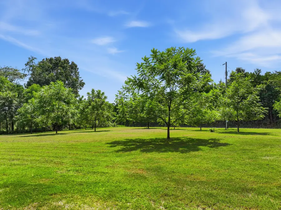 5150 County Road 2910, West Plains, MO 65775 - #3