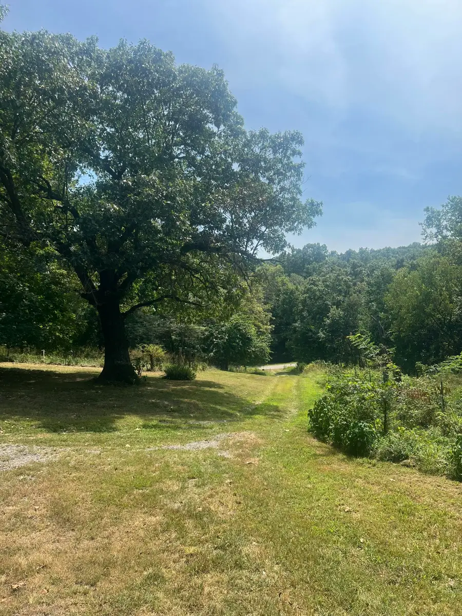1759 E 555th Road, Brighton, MO 65617 - #3