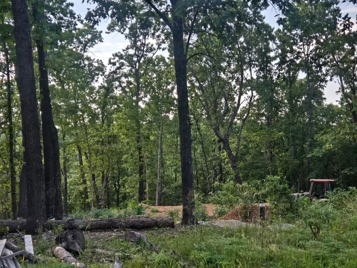 Lot 74, Jeffery Lane, Cape Fair, MO 65624 - #1