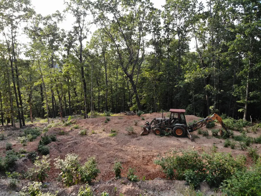 Lot 74, Jeffery Lane, Cape Fair, MO 65624 - #2