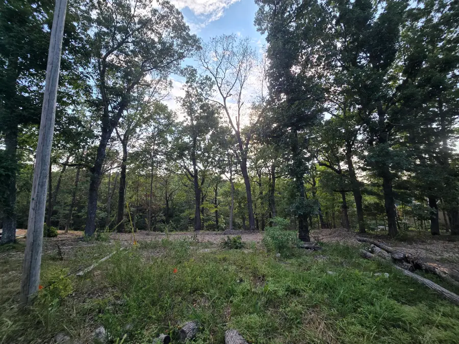Lot 74, Jeffery Lane, Cape Fair, MO 65624 - #3