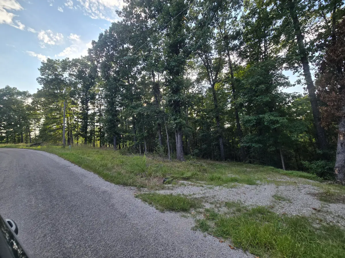 Lot 75, Jeffery Lane, Cape Fair, MO 65624 - #1