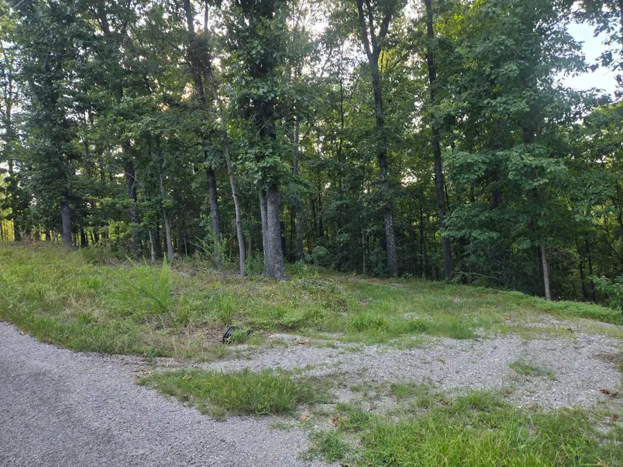 Lot 75, Jeffery Lane, Cape Fair, MO 65624 - #2