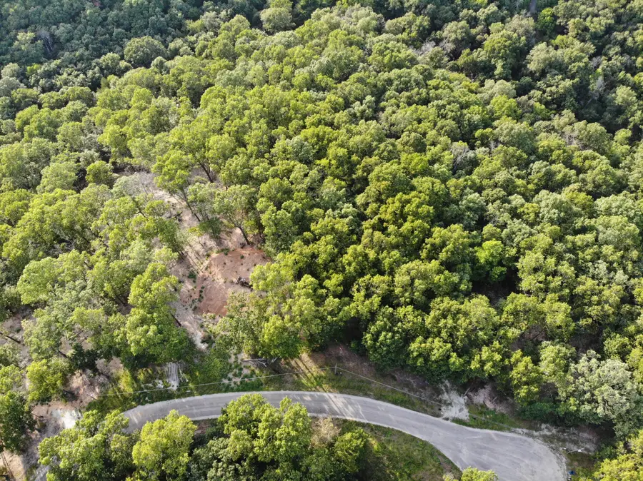 Lot 75, Jeffery Lane, Cape Fair, MO 65624 - #3